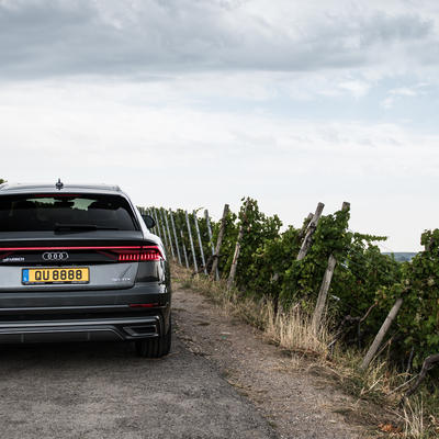 Audi Q8 by Losch & Cie