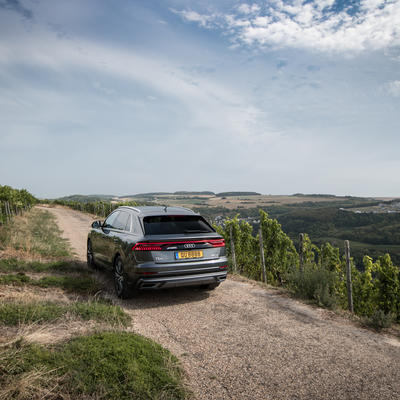 Audi Q8 by Losch & Cie